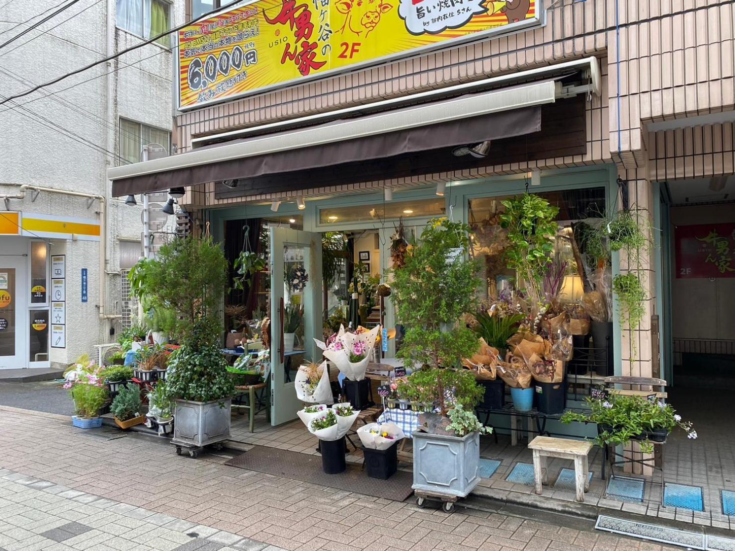 Lägenhet Shibuya